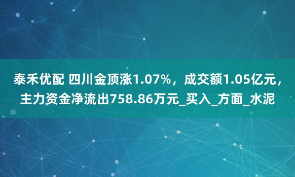 泰禾优配 四川金顶涨1.07%，成交额1.05亿元，主力资金净流出758.86万元_买入_方面_水泥